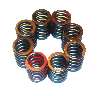 Valve Spring Set of 8  151763S 